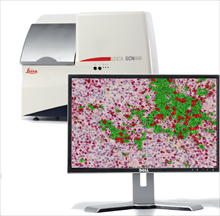 Tissue IA – Automated Image Analysis for Brightfield and Fluorescence Digital Pathology